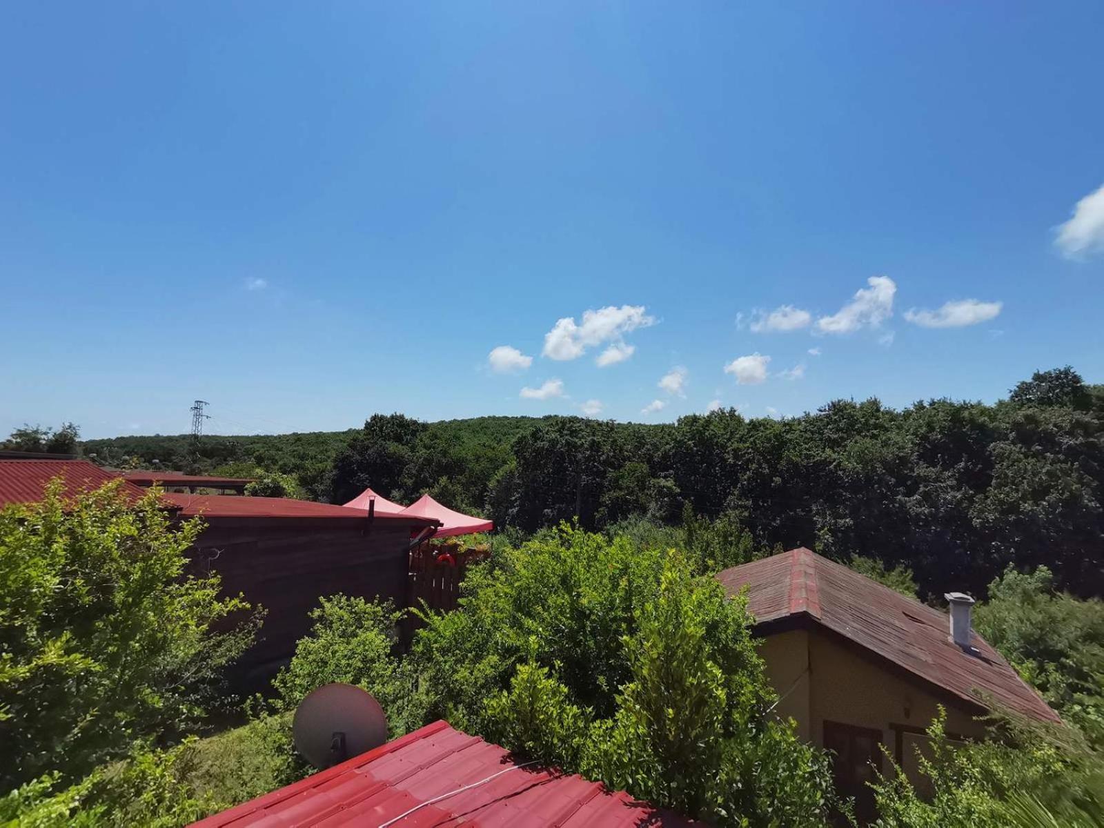 Guest House Fanny Синеморец Экстерьер фото